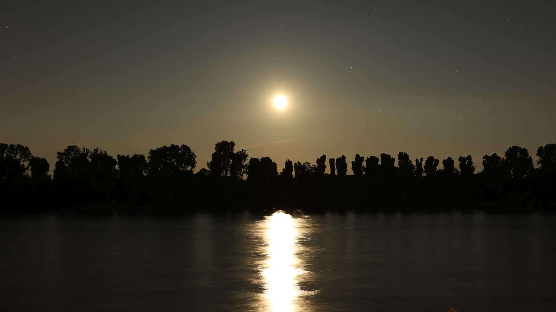 Der Vollmond steht über dem Ufer des Rheins und spiegelt sich im Wasser. Wenn man mal nicht schlafen kann, sollte man besser einen den SkyHeia Newsletter zum Lesen haben.